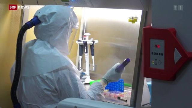 Corona-Virus: Mutation noch nicht in der Schweiz nachgewiesen