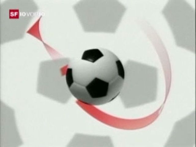 Fussball-EM 2008 \/ UEFA bekämpft Schmarotzer-Werbung