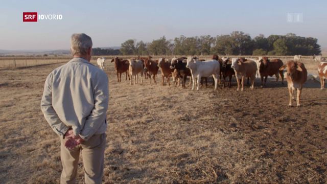 Enteignung weisser Farmer – Wahlkampfthema in Südafrika