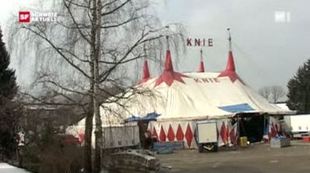 Manege frei - Werkstätten Zirkus Knie