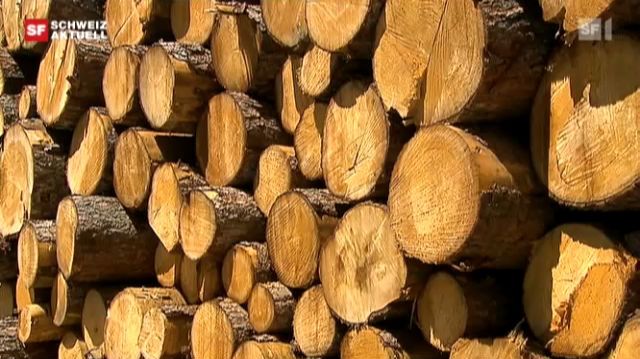 Neuausrichtung Bündner Holzindustire