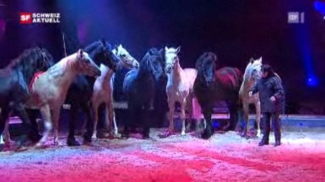 Manege frei - Ein Tag mit Géraldine Knie