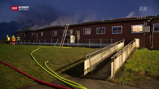 St. Gallen: Brand in Schweinestall