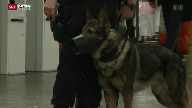Terror-Anschläge Brüssel \/ Sicherheitsvorkehrungen Flughafen Zürich