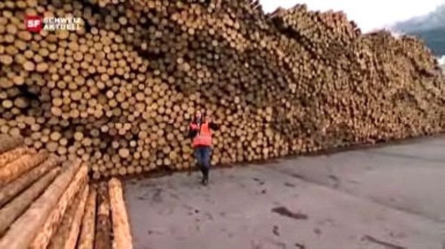 Sägewerk Stallinger Swiss Timber