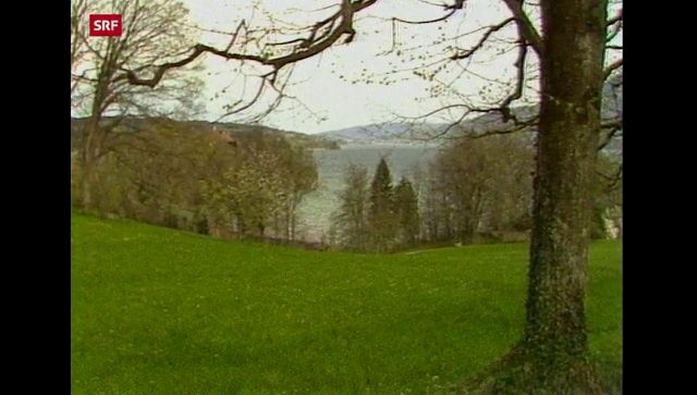 Villa Krämerstein