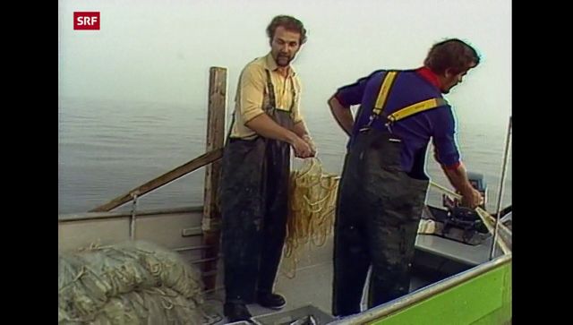 Bodensee-Special: Fischerei