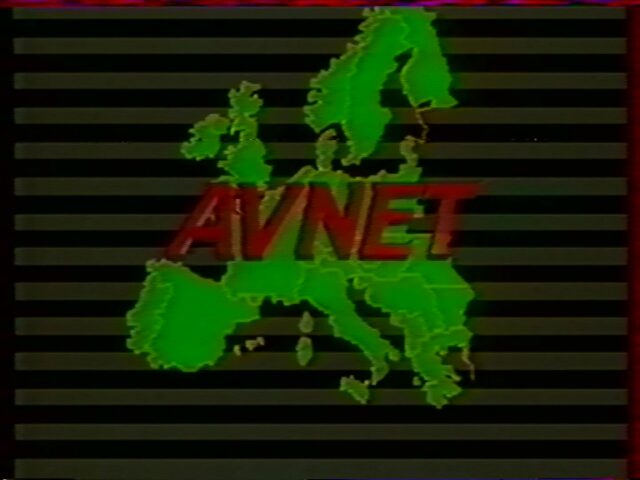 Einsatzmöglichkeiten des elektronischen Informationssystems von AVNET